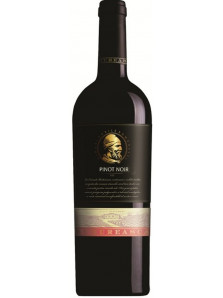 Budureasca Premium Pinot Noir 2014/2015 | Dealu Mare
